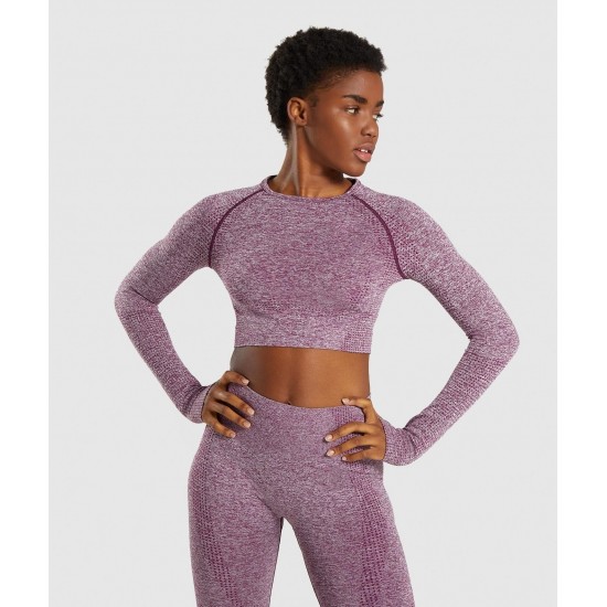 crop t-shirt full sleeve