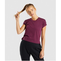 T Shirt Short Sleeve